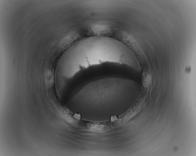 X0000102390471200808011604