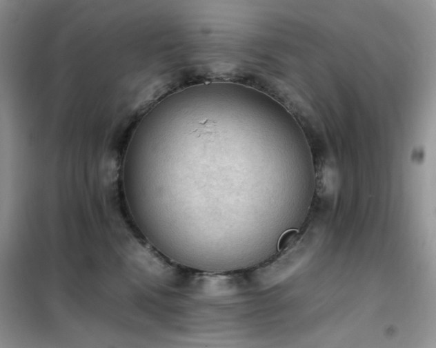 X0000102390472200808011604