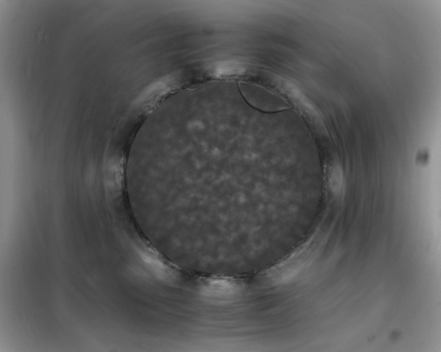 X0000102390475200808011604