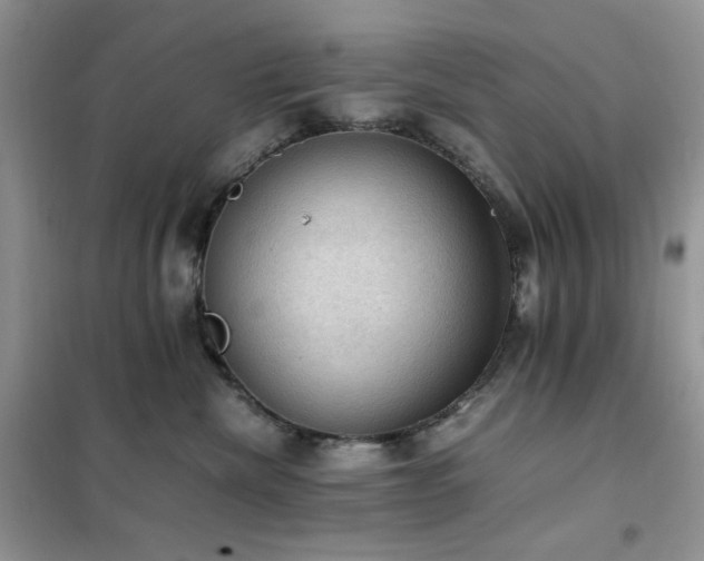 X0000102390476200808011604