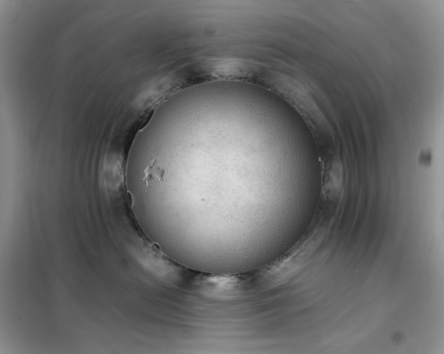 X0000102390478200808011604