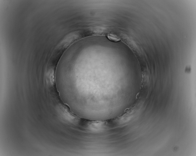 X0000102390479200808011604