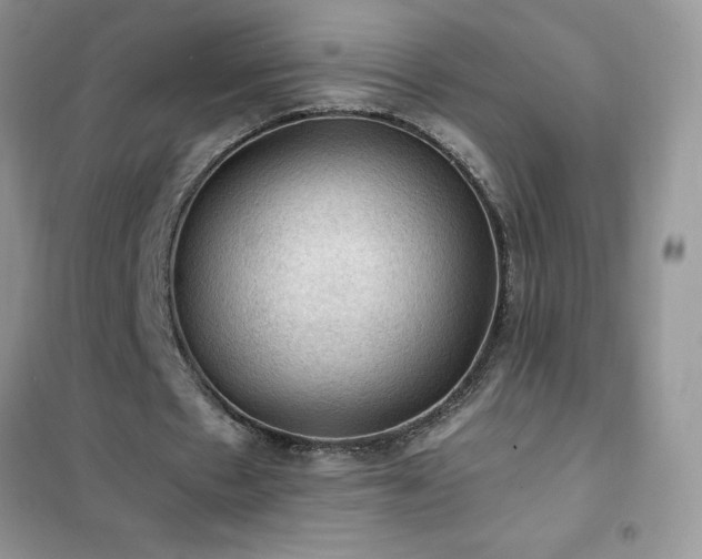 X0000102390481200808011604