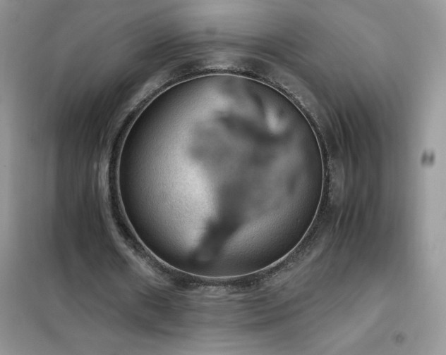 X0000102390482200808011604