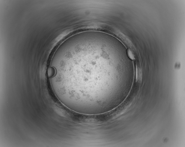 X0000102390483200808011604