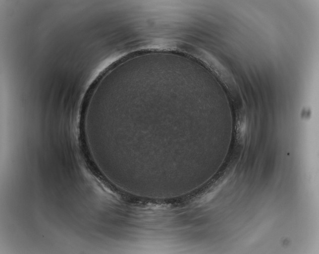 X0000102390484200808011604