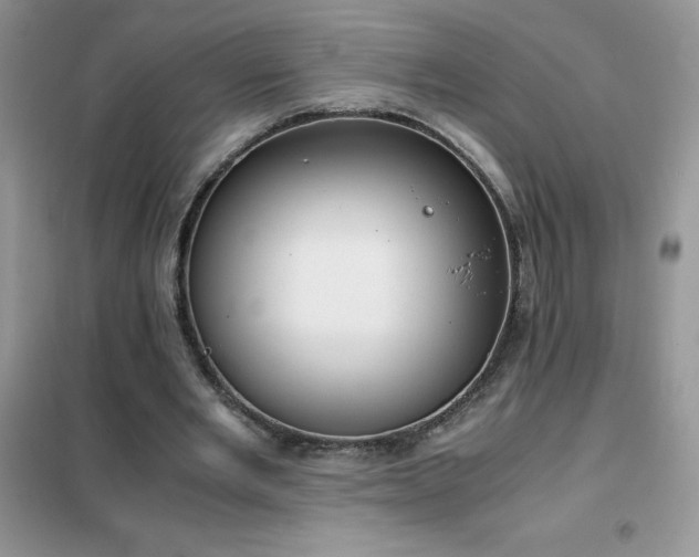 X0000102390485200808011604