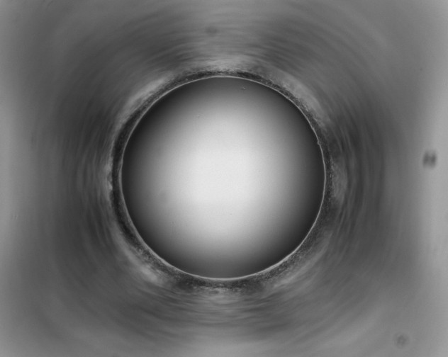 X0000102390486200808011604