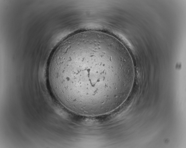 X0000102390487200808011604