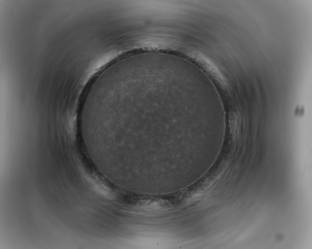 X0000102390488200808011603