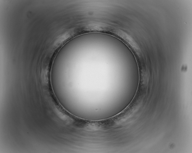 X0000102390489200808011603