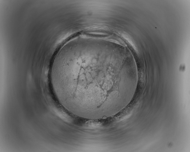 X0000102390491200808011603