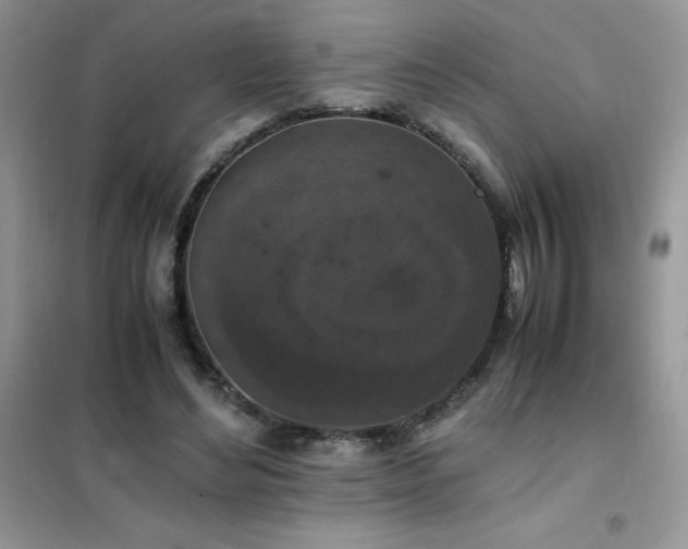 X0000102390492200808011603