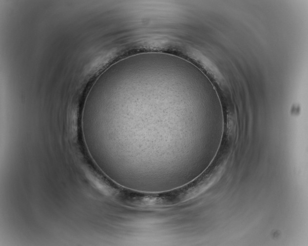 X0000102390493200808011603