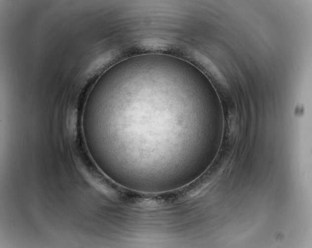 X0000102390494200808011603