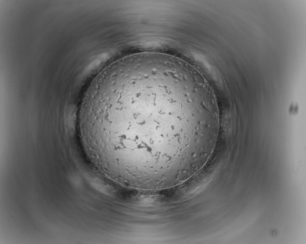 X0000102390495200808011603