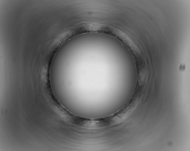 X0000102390497200808011603