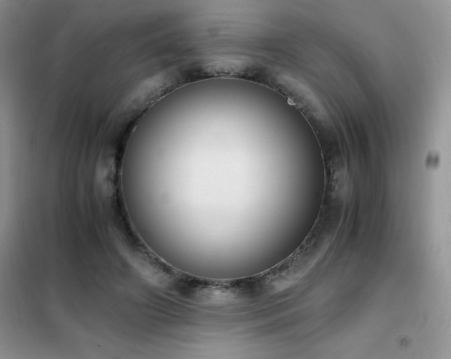 X0000102390498200808011603