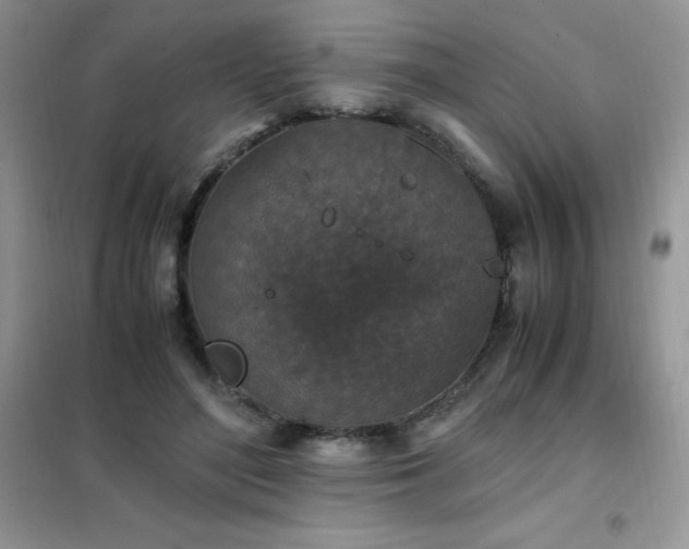 X0000102390500200808011603