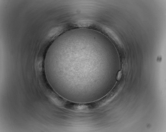 X0000102390501200808011603