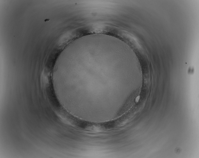 X0000102390503200808011603