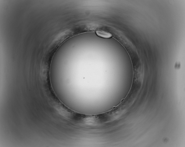 X0000102390505200808011603