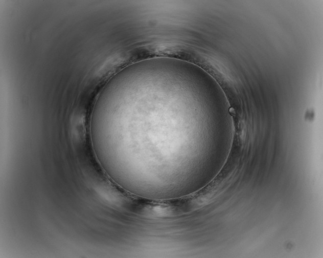 X0000102390506200808011603