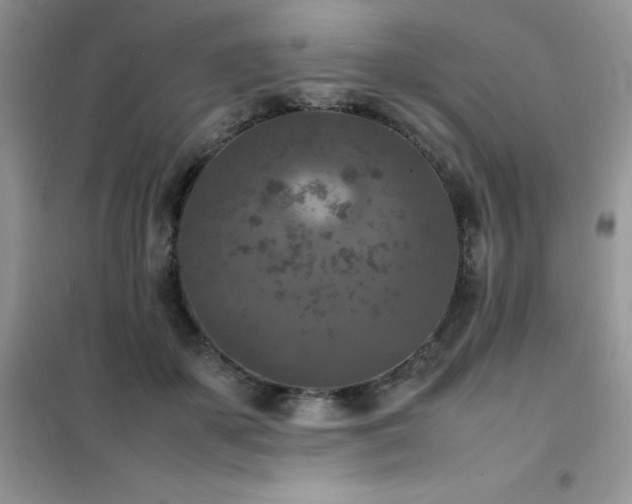 X0000102390507200808011603