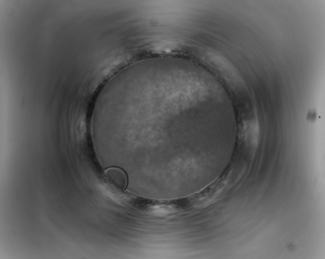 X0000102390508200808011603