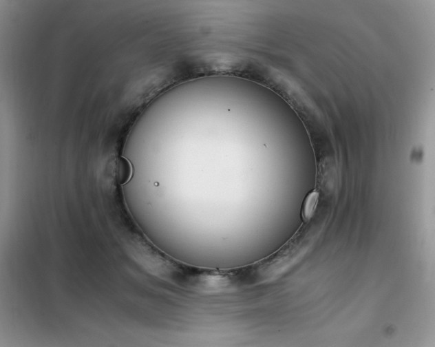 X0000102390509200808011603