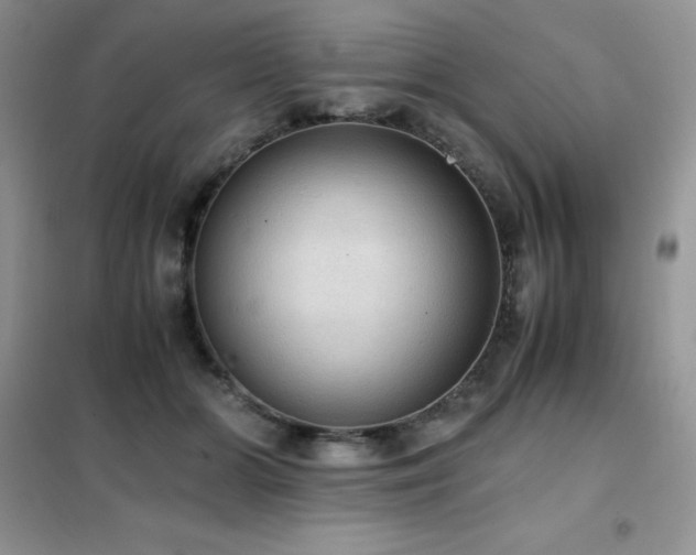 X0000102390510200808011603