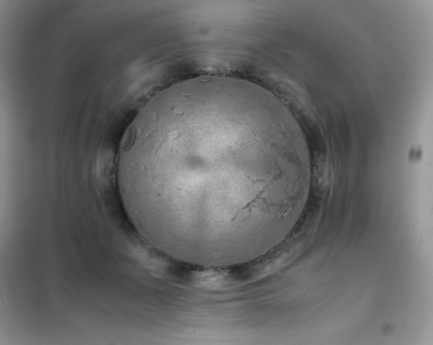 X0000102390511200808011603