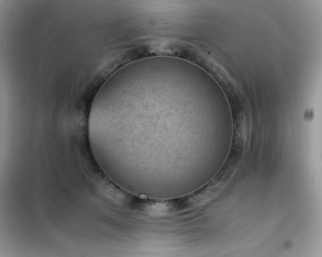 X0000102390513200808011603