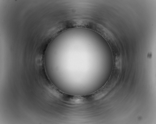 X0000102390514200808011603