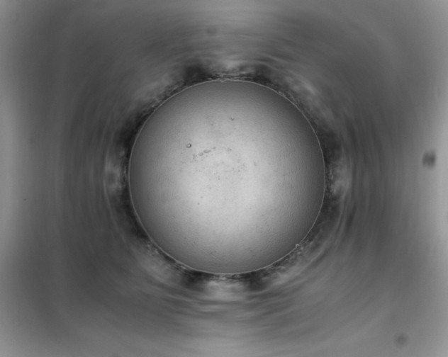 X0000102390515200808011603