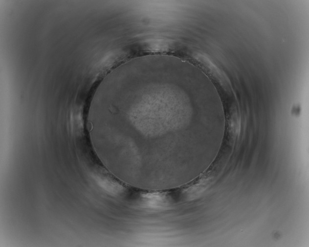 X0000102390516200808011603