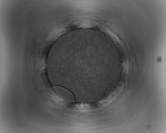 X0000102390517200808011603