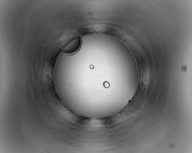 X0000102390518200808011603