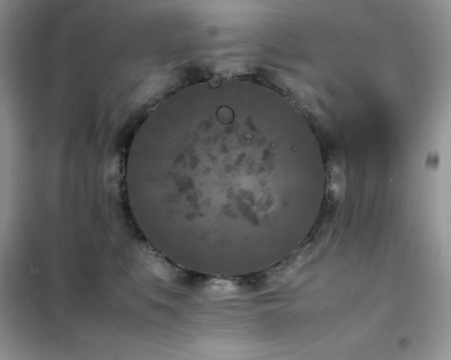 X0000102390519200808011603