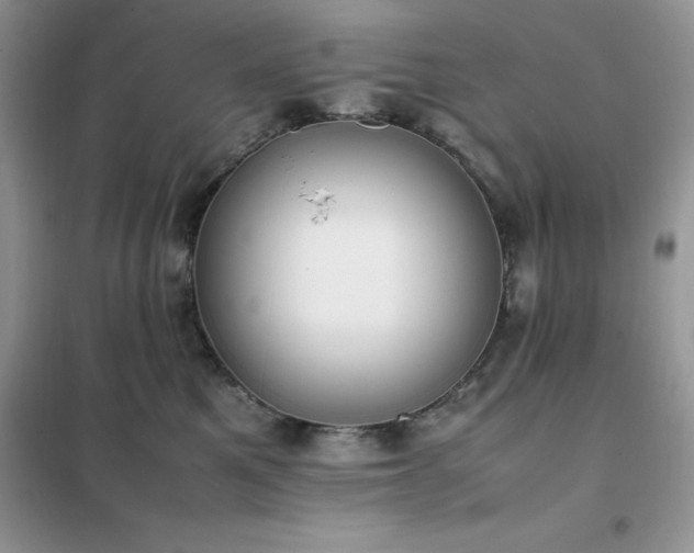 X0000102390521200808011603