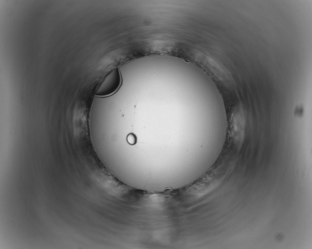 X0000102390522200808011603