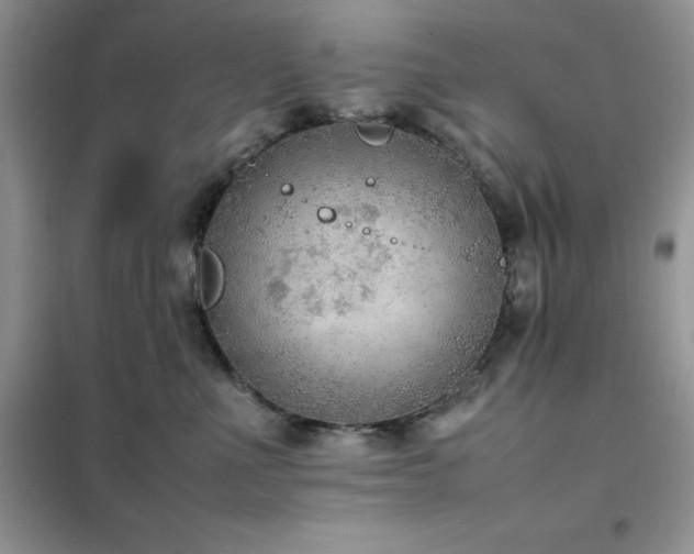 X0000102390523200808011603