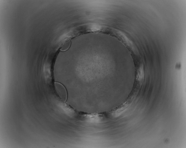 X0000102390524200808011603