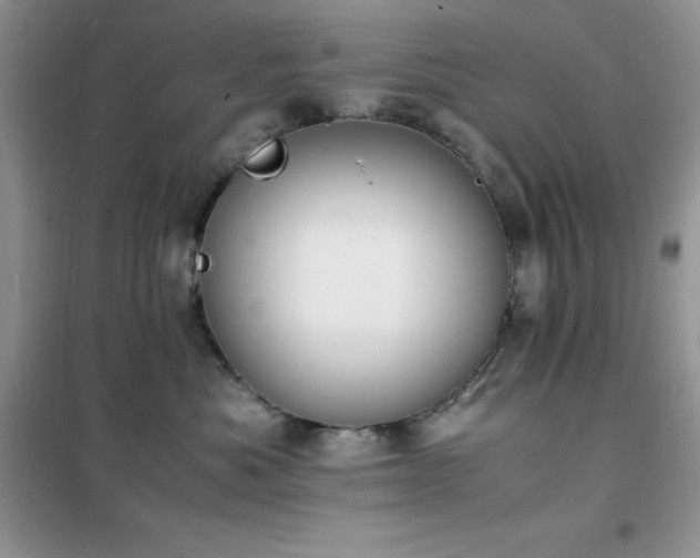 X0000102390525200808011603