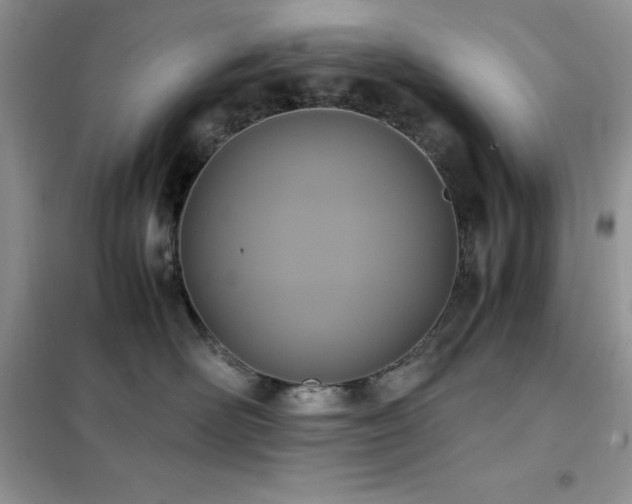 X0000102390526200808011603