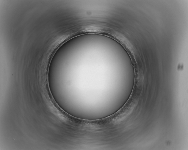 X0000102390529200808011602