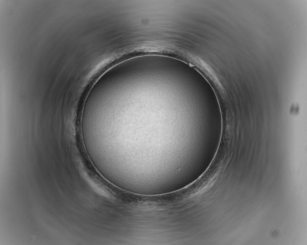 X0000102390530200808011602