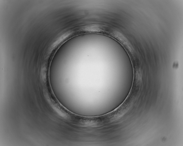 X0000102390533200808011602