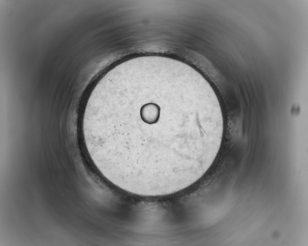 X0000102390534200808011602