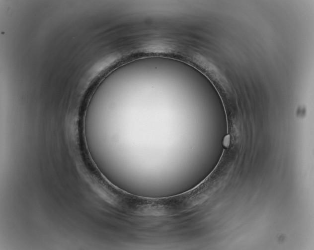 X0000102390535200808011602